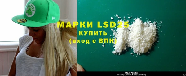 прущие грибы Алзамай