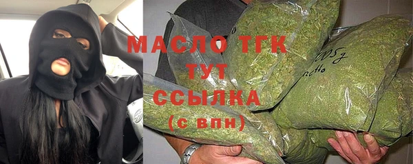 гашик Алексеевка