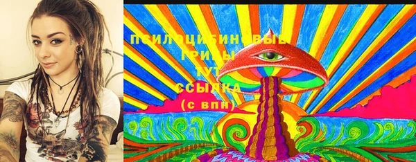 гашик Алексеевка