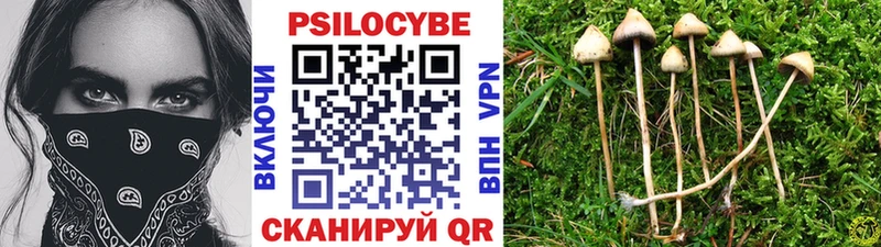 ссылка на мегу рабочий сайт  Лермонтов  Галлюциногенные грибы ЛСД 